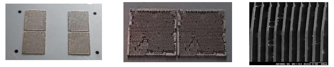 2D MEMS Pin-2.jpg